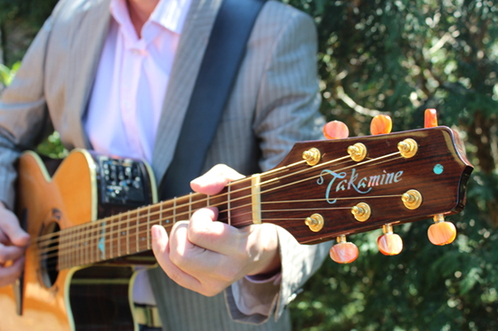 Guitar in the Garden
